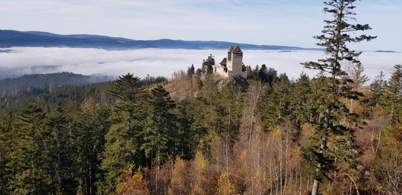 Hotel Zlaty Potok Nicov  Extérieur photo